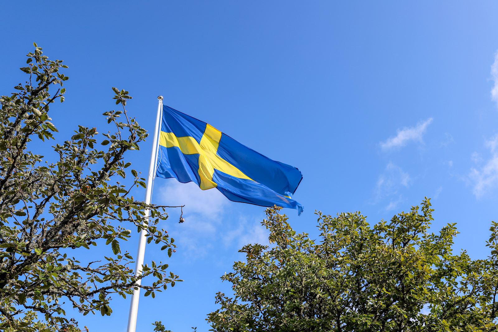 Svenska flaggan hissad under invigningen.